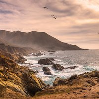 trip advisor user icon