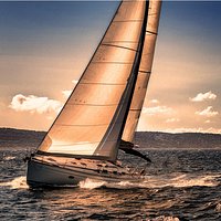 trip advisor user icon